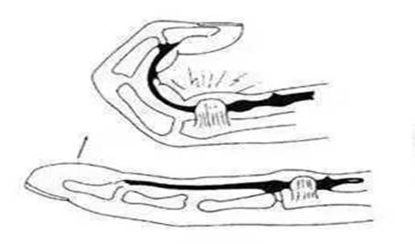 clip_image002.jpg b8100ef5dda74115b48444bebf808d8f