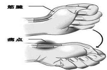 clip_image002.jpg u=2371513695,3889576954&fm=173&app=25&f=JPEG